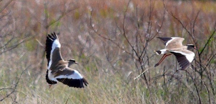 4 Bedroom Property for Sale in Hartbeespoort Rural North West